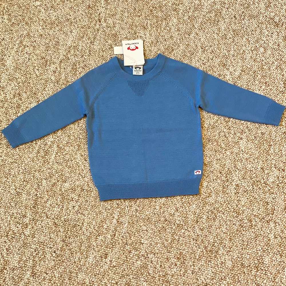 Appaman Boys Light Blue Crew Neck Sweater